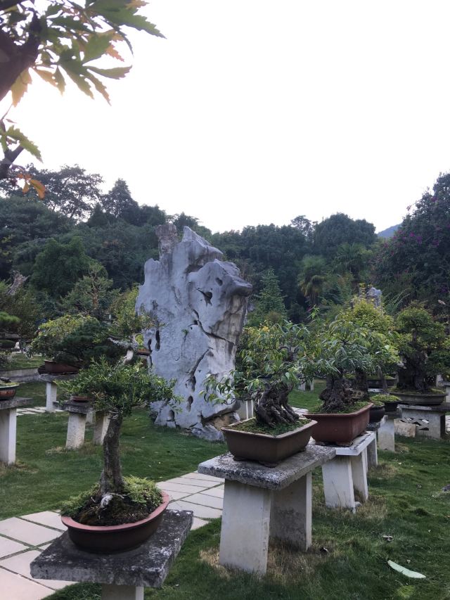 黄果树盆景园