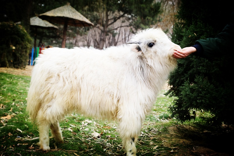 【携程攻略】攀枝花到北京旅游报价,攀枝花到