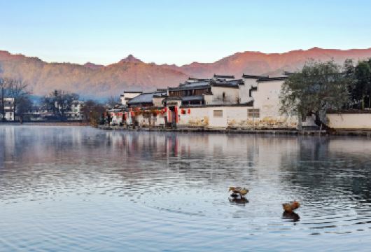 宏村景区+西递一日游【酒店接送·地道玩法·深度讲解陪玩】【全国出发当地参团，贴心酒店接送，免去交通烦恼，可以单位团建订制具体联系客服；】