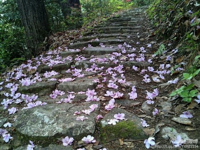 景庆古道