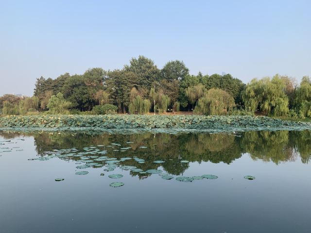 武漢月湖公園攻略,武漢月湖公園門票/遊玩攻略/地址/圖片/門票價格