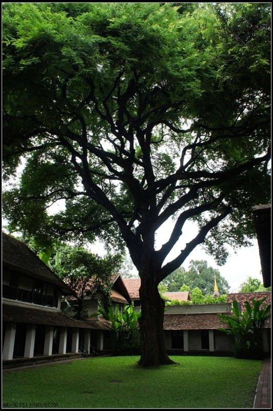 泰国12天欢乐游