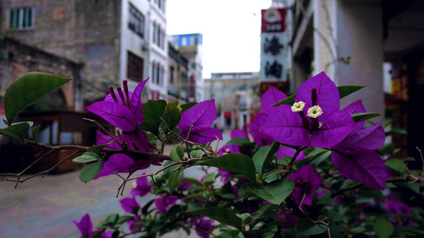 从湛江到德天,沿越南边境