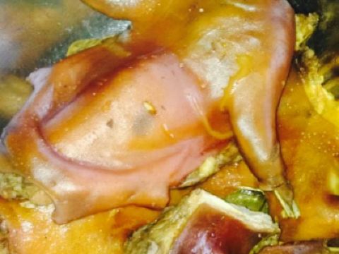 白坑乌目毛桃猫肉