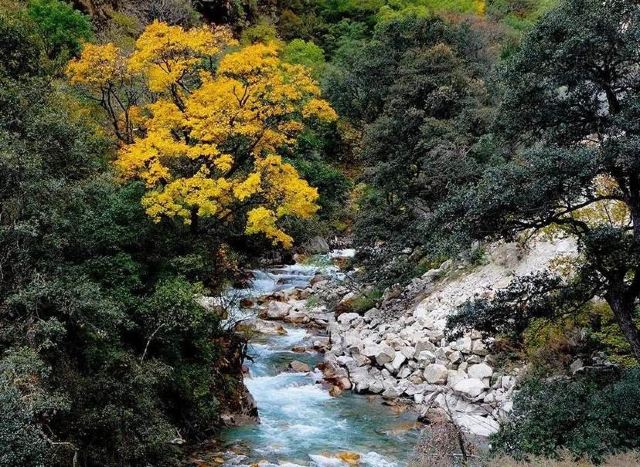 貢山獨龍江攻略,貢山獨龍江門票/遊玩攻略/地址/圖片/門票價格【攜程