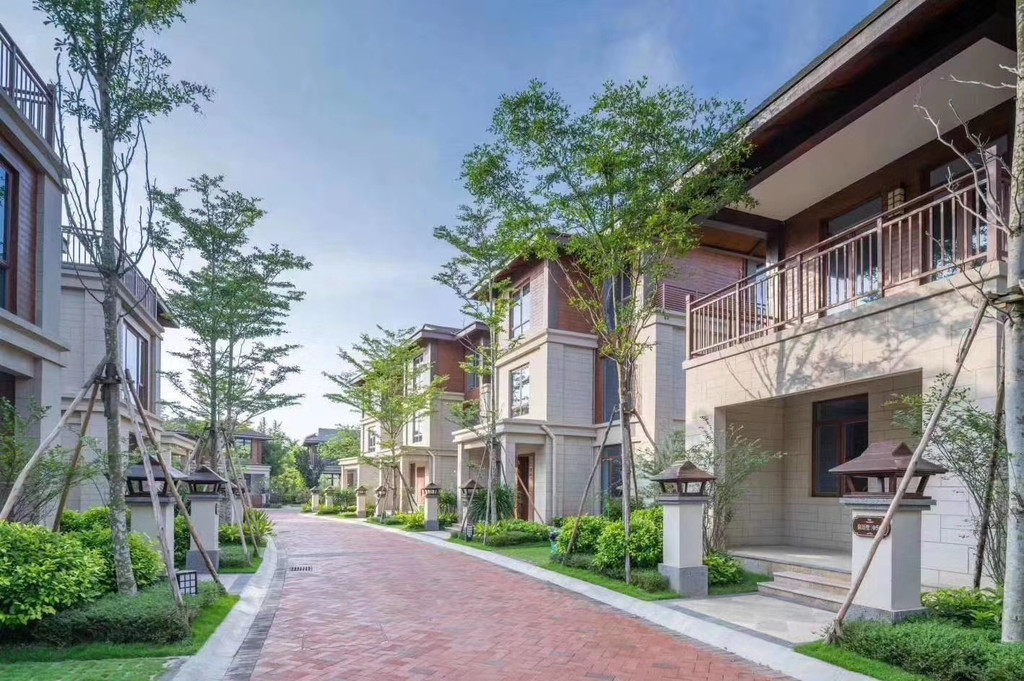 南丽湖边|夏天的期待