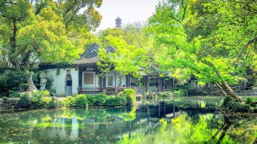 shutterstock_1059753422