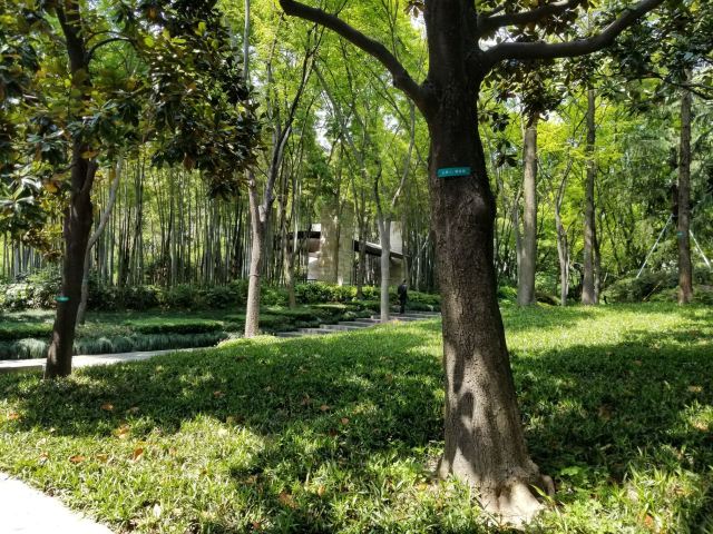 【携程攻略】延安公园门票,上海延安公园攻略/地址/图片/门票价格