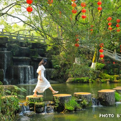 惠州出发：惠州西湖+广东罗浮山+五矿哈施塔特文旅小镇一日【