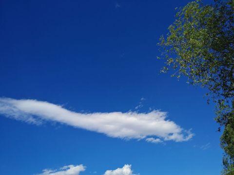 莫因卓勒村