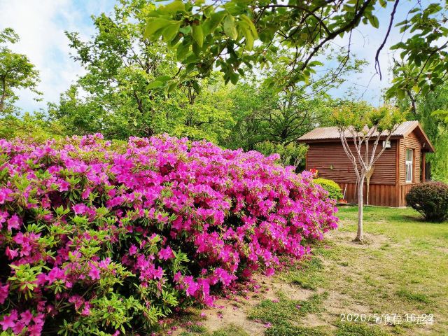 青島城陽世紀公園攻略,青島城陽世紀公園門票/遊玩攻略/地址/圖片