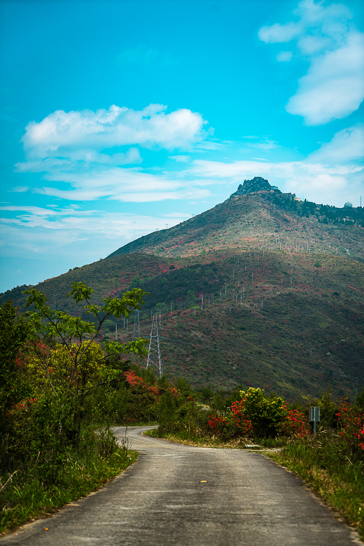 鹤顶山