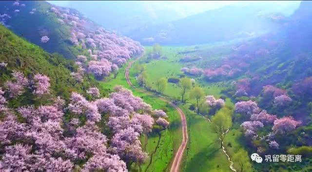 野生动植物陈列馆