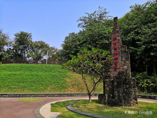 王借岗古火山遗址