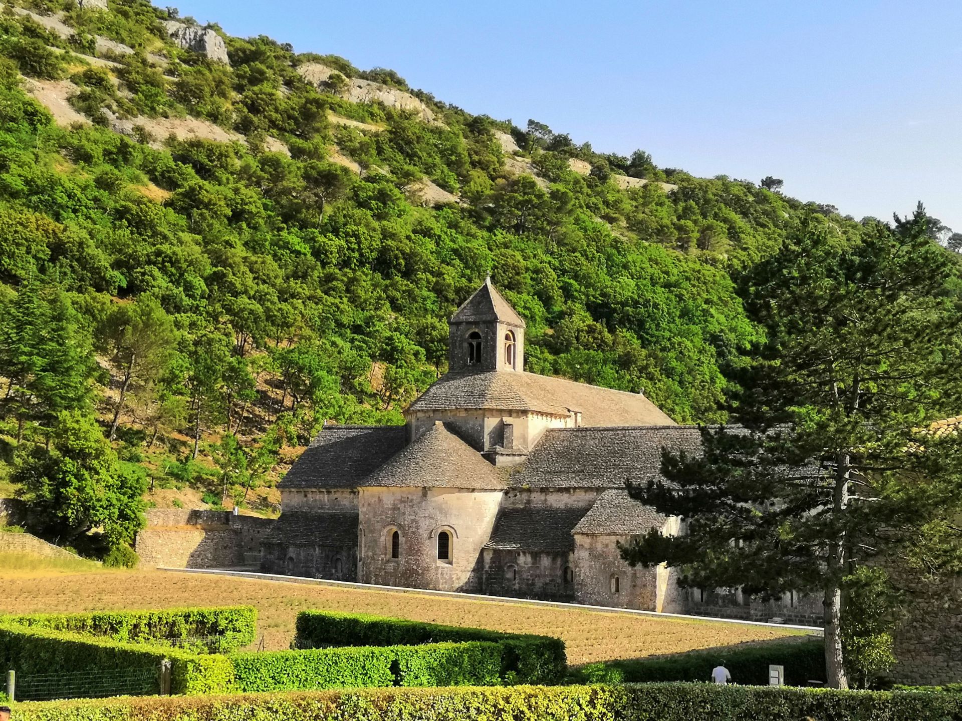 塞南克修道院，置身山谷里的净地，网红和情侣拍摄薰衣草的地方。