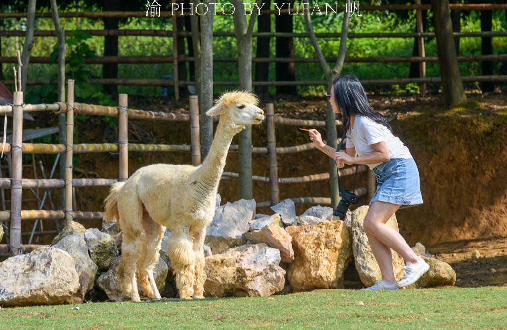 彩色森林养生旅游区