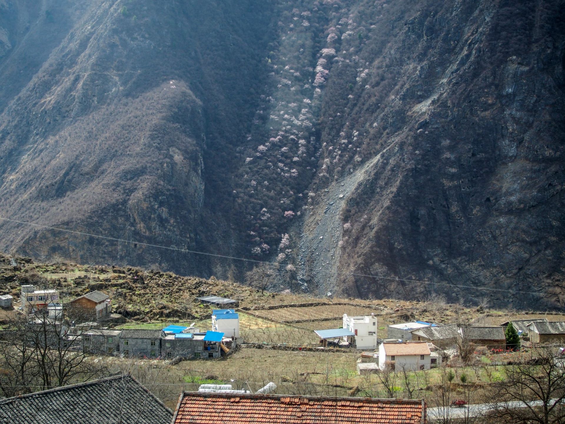 茂县馆