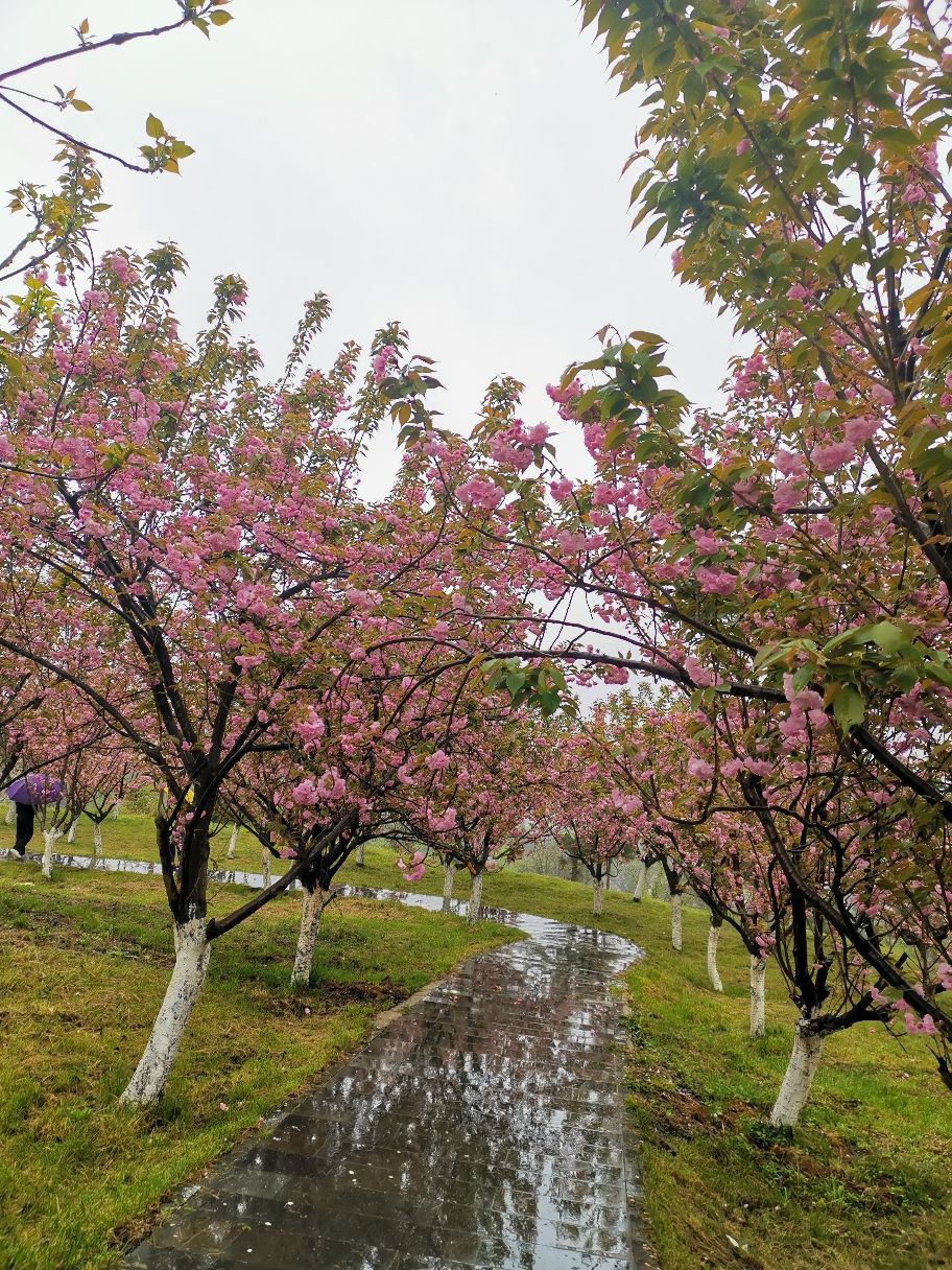 花间池·春上温泉主题公园