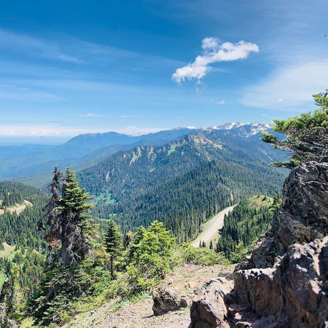 hurricane ridge visitors center