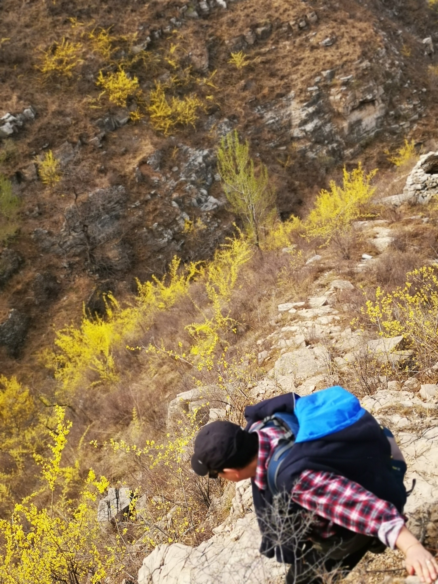 淄博莱芜故城