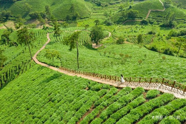 信阳文新茶村攻略,信阳文新茶村门票/游玩攻略/地址/图片/门票价格