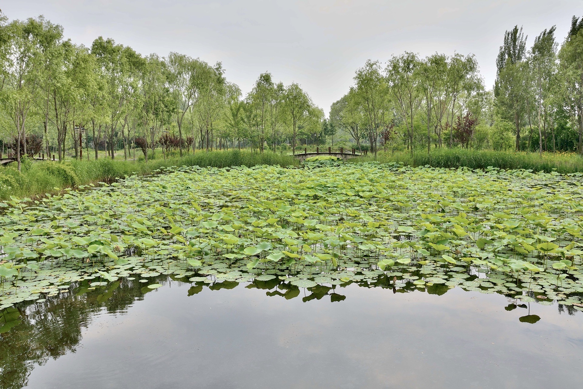 秦皇岛市海滨林场