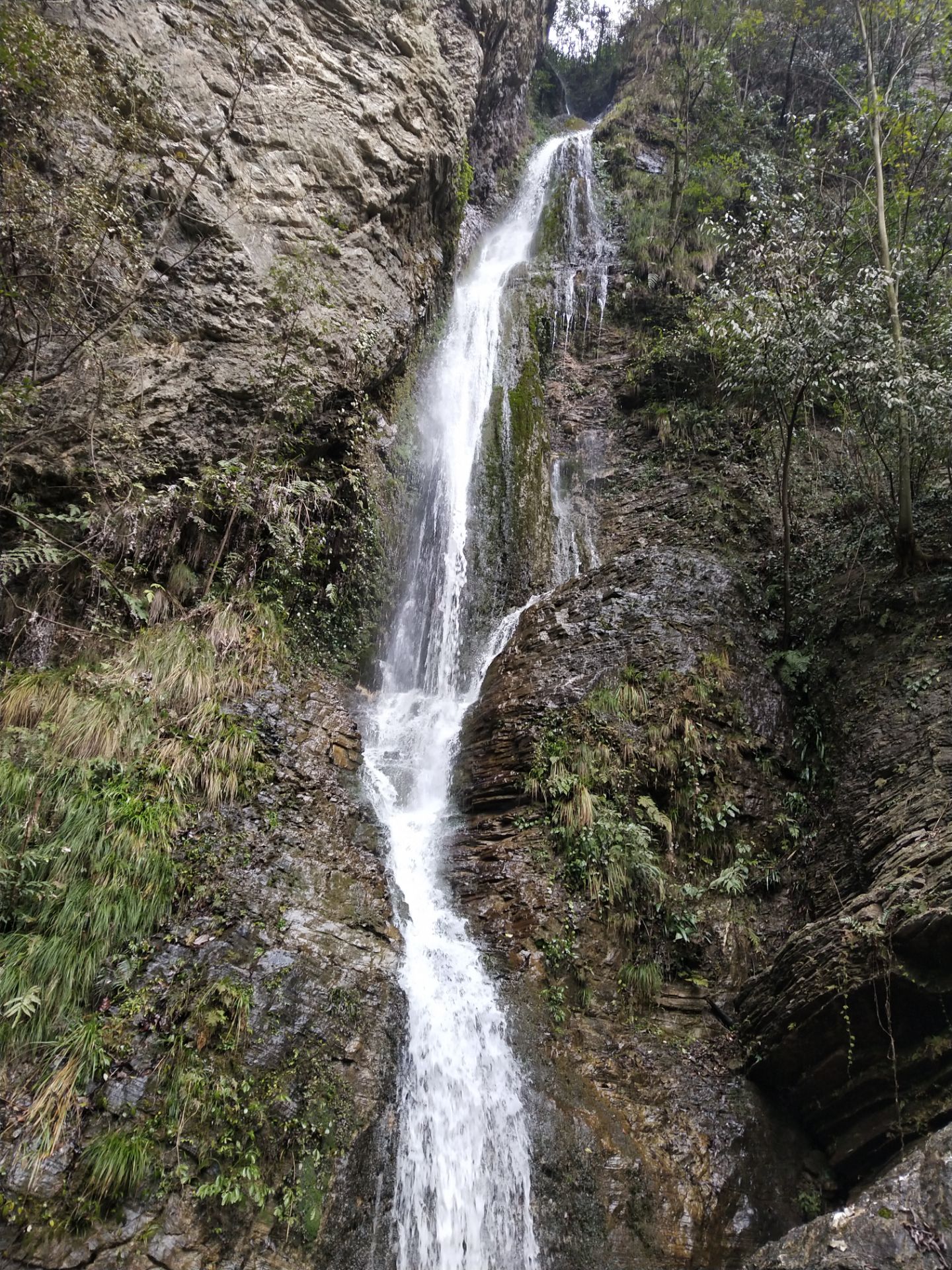 月亮湾生态园