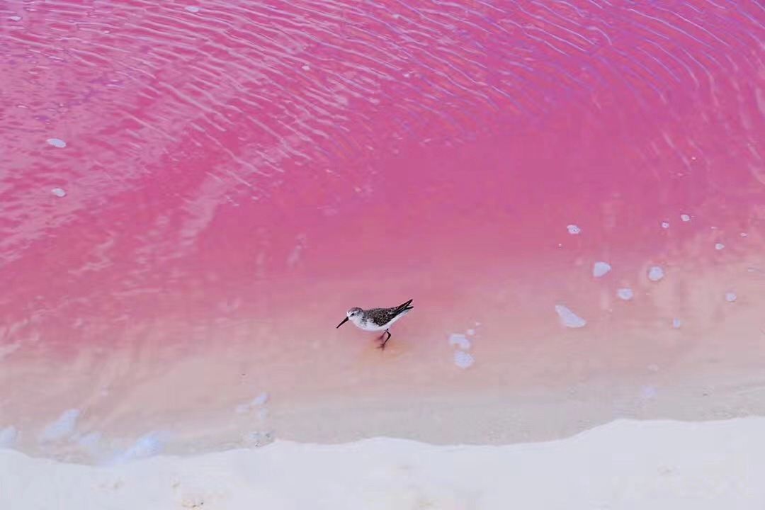 Cancún Romantic Getaway Platinum – 5 Days