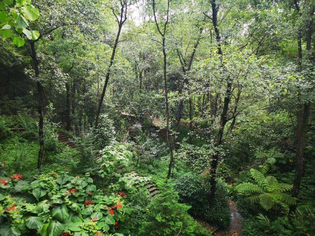 成都成都植物園攻略,成都成都植物園門票/遊玩攻略/地址/圖片/門票