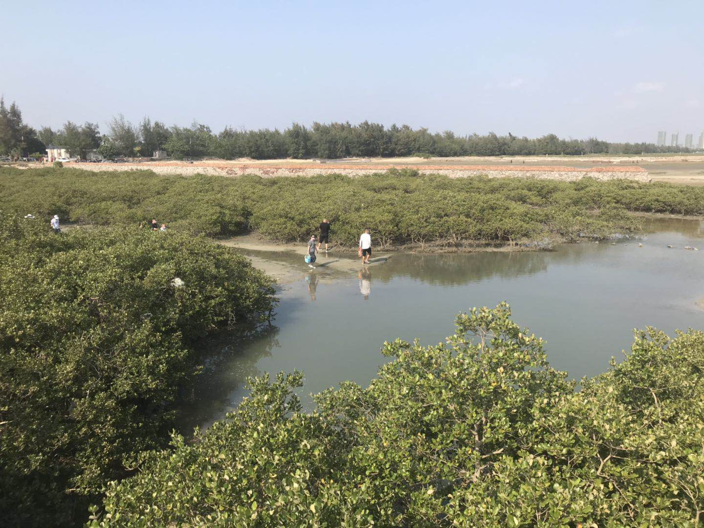观复赶海