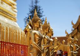 travel picture