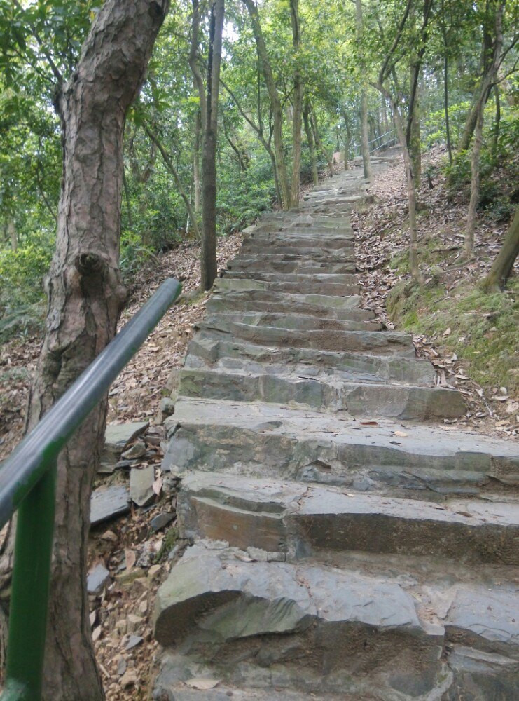 杭州虎跑山