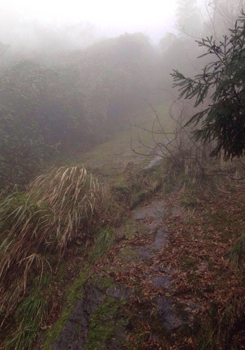 江山秋冬游玩攻略,江山秋冬游玩攻略大全
