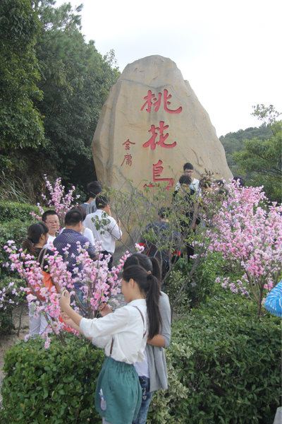 桃花岛一日游