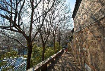 【上海出发】苏州拙政园+狮子林+寒山寺+虎丘+山塘街纯玩一日【纯玩无任何购物点，游览时间充足】