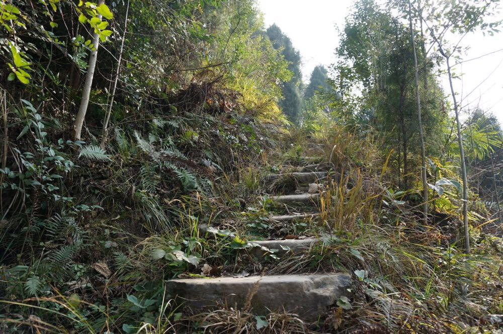 三国遗迹游～阆中瓦口关