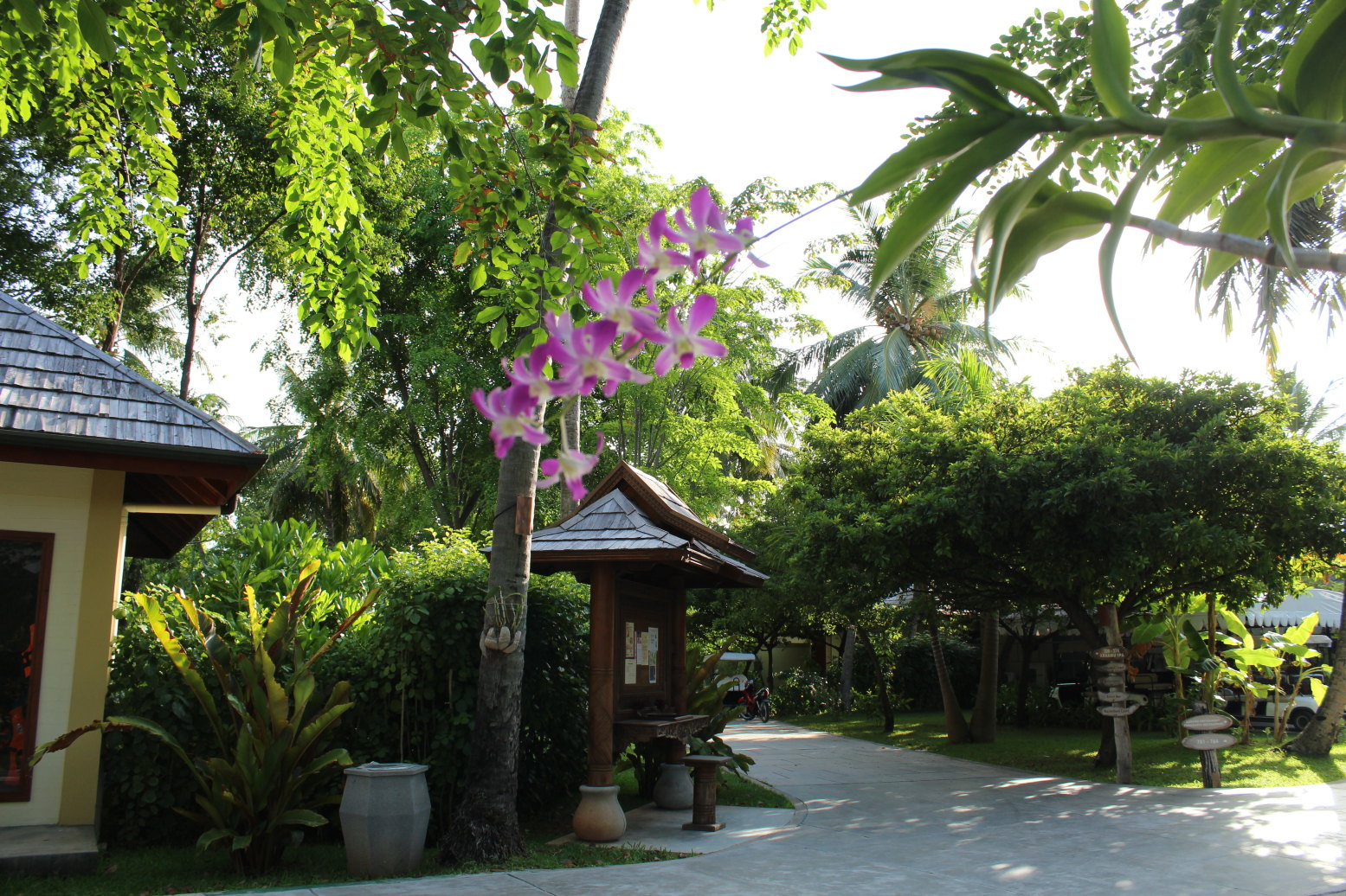 天堂岛(天堂岛度假村)