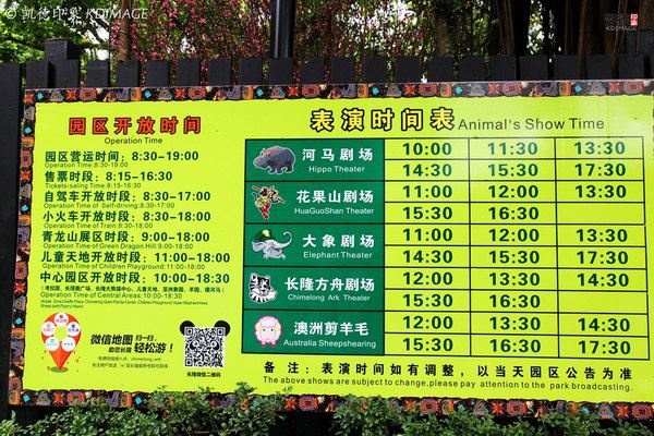 【共同旅行】带着母亲去旅行,玩转长隆动物园