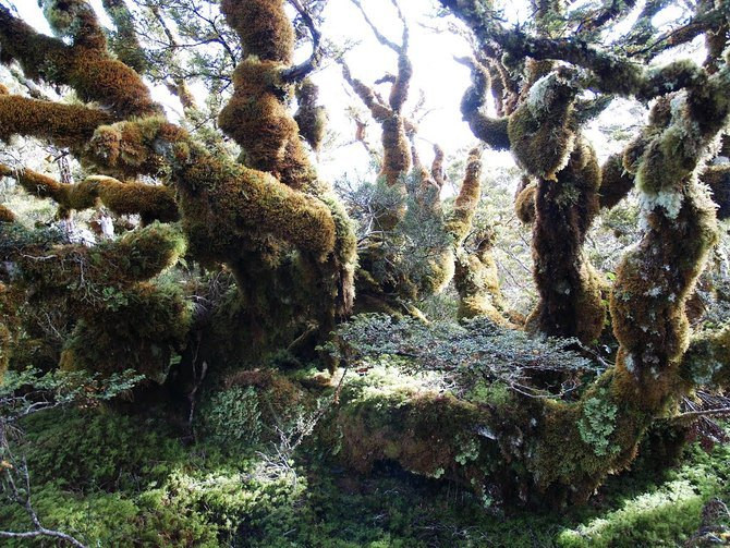 新西兰南岛深度游P5 - 新西兰游记攻略【携程