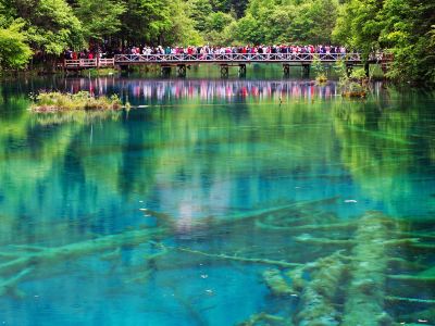 九寨沟旅游攻略 4月九寨沟自助游 周边自驾 出游 自由行 游玩攻略 携程攻略