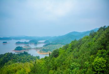 千岛湖景区一日游【黄山出发 游中心湖区 上门接送 天天发班】【船游千岛湖中心湖区，登梅峰岛，将300余座岛屿尽收眼底】