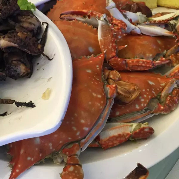 舌尖上的庄河(作为一个吃货,你应该去趟庄河)