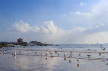 【携程攻略】青岛栈桥周边住宿,栈桥附近酒店