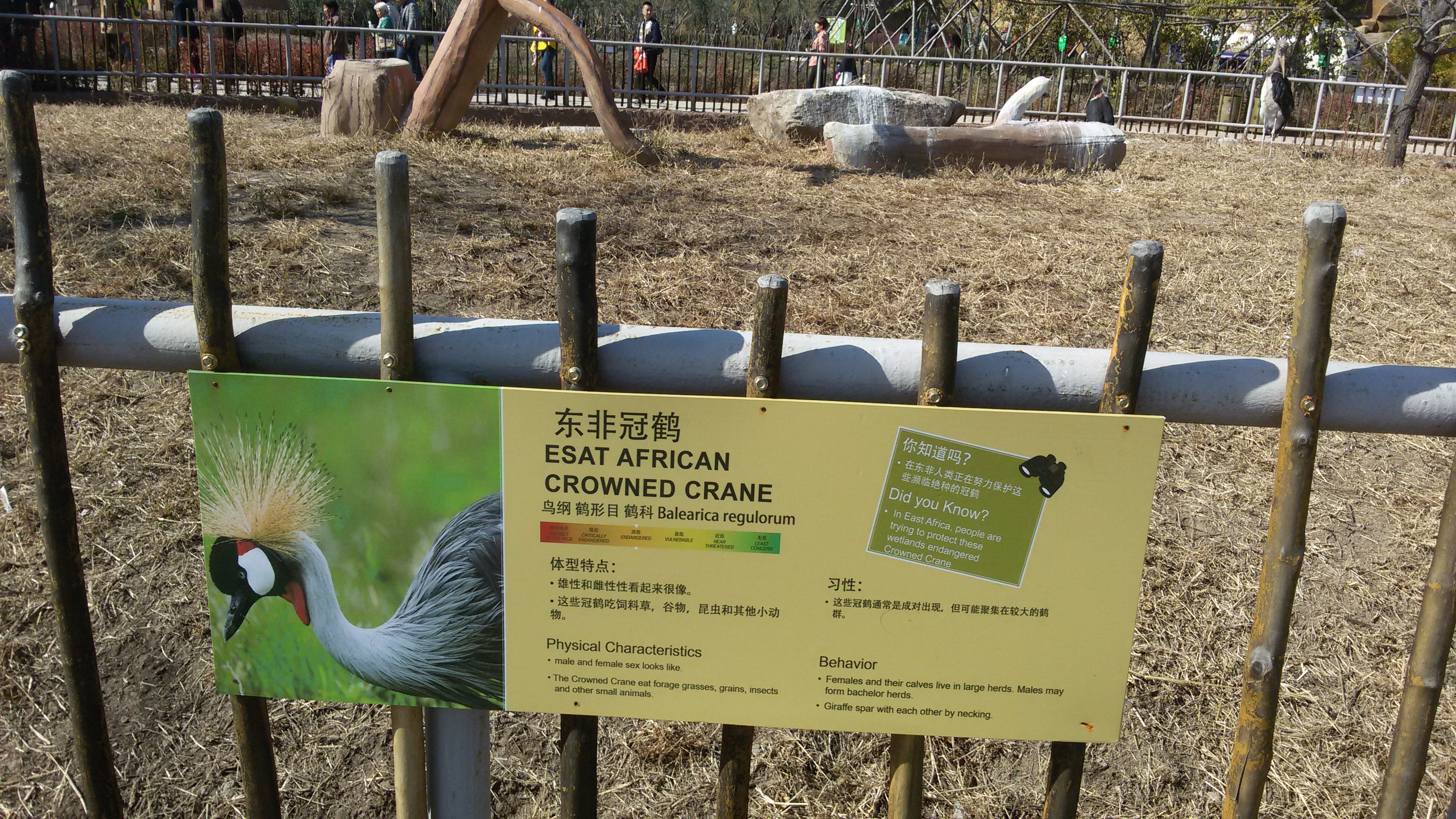 齊齊哈爾市龍沙動植物園感悟:孩子流連,大人休閒;親近自然,呵護家園