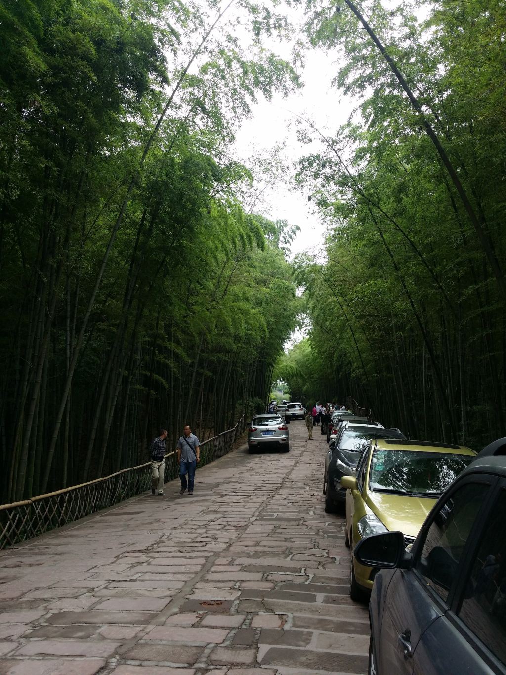 宜宾蜀南竹海一日游