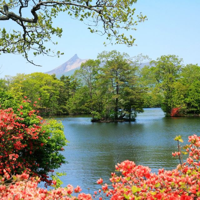 山水花树