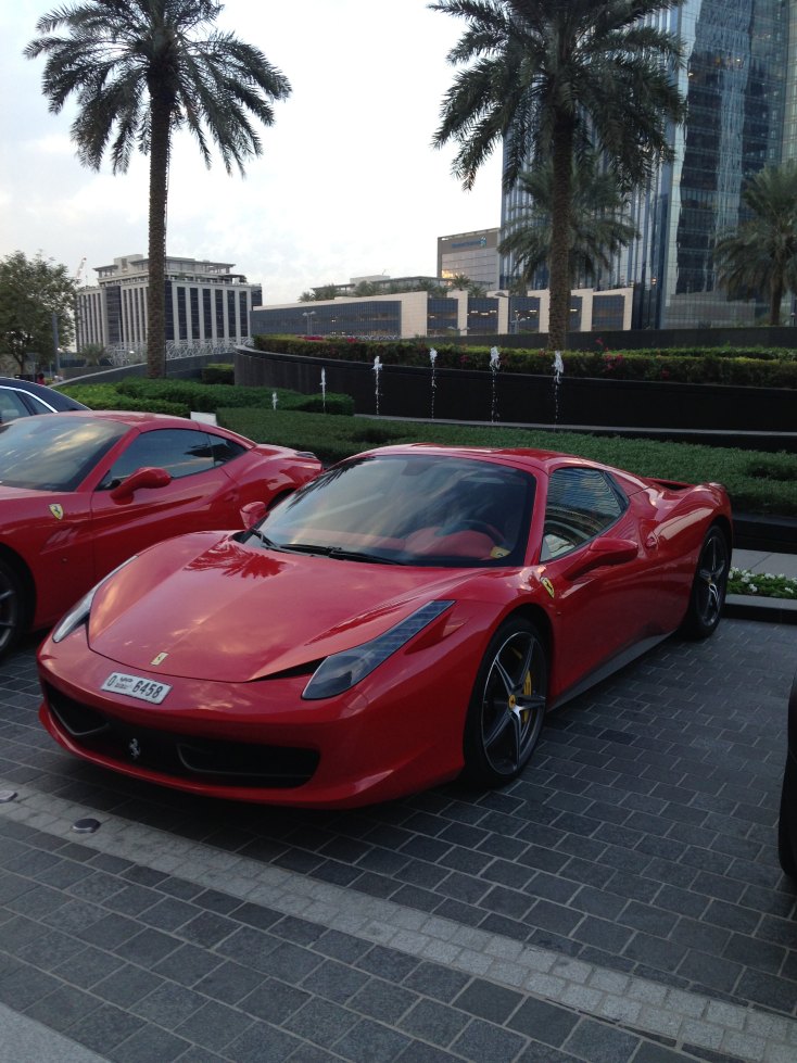 假装土豪过新年,羊羊得意游迪拜