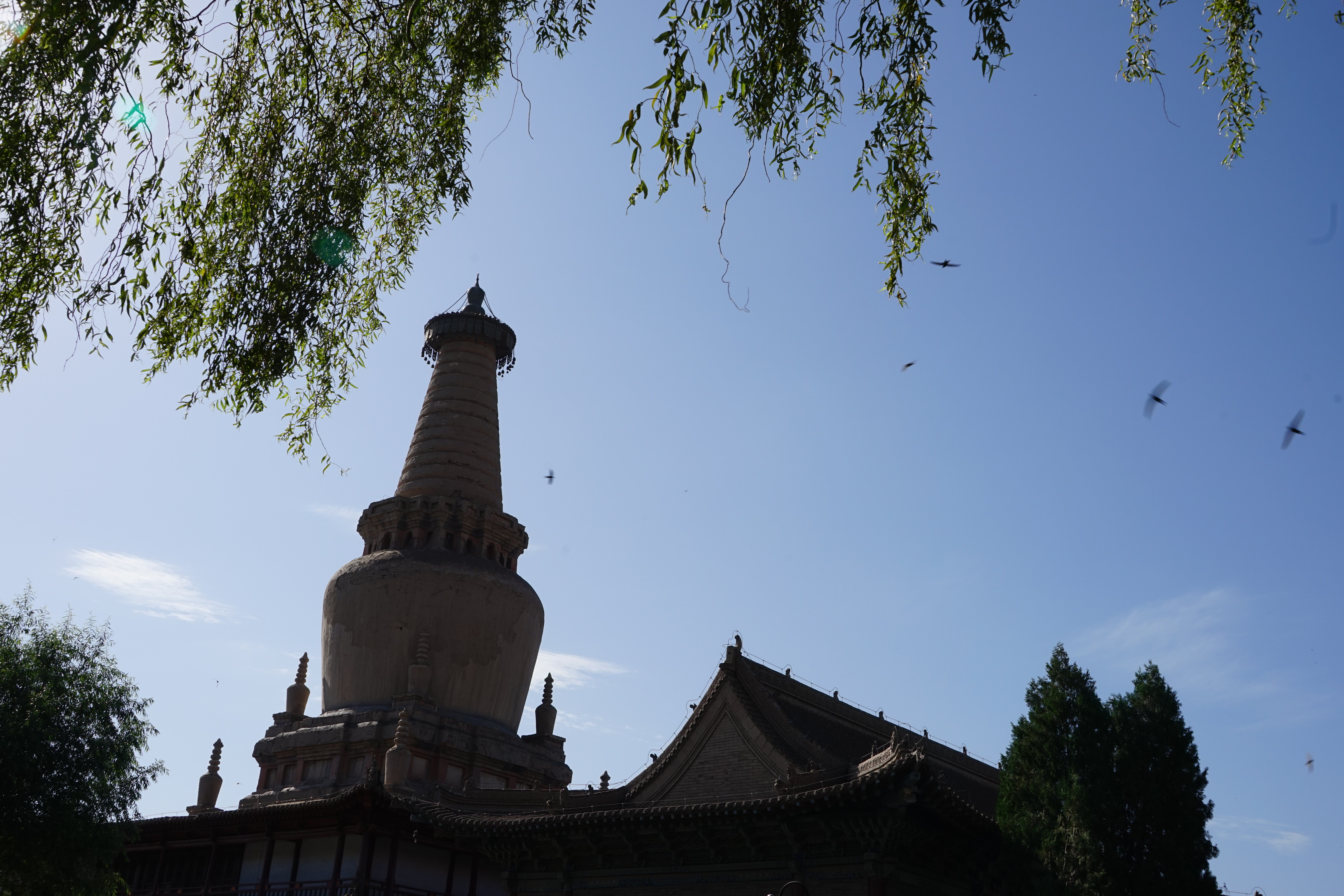 七月三日,四日,二天在張掖遊玩了木塔寺,鼓樓,山西會館,大佛寺市內