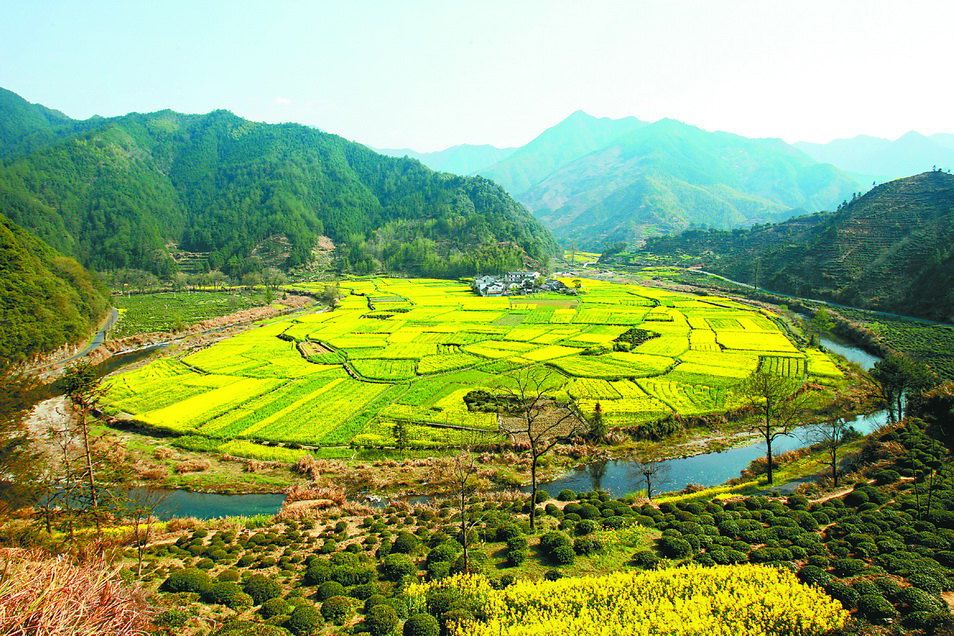 皖南油菜花要开,我在徽州等你来