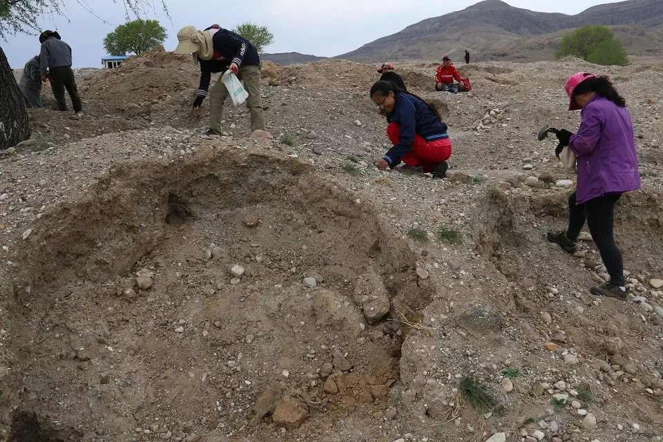 阳原北山徒游捡石头